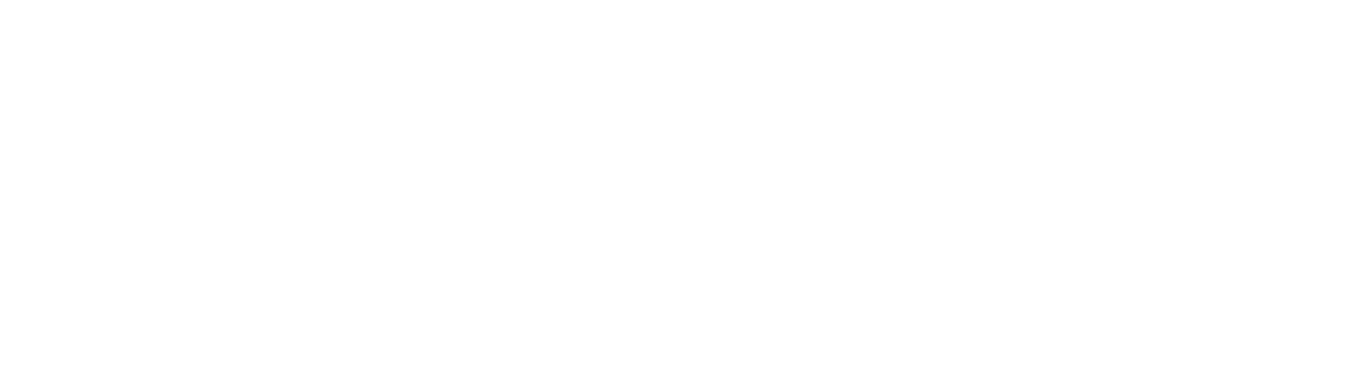 EBIS Business Techschool